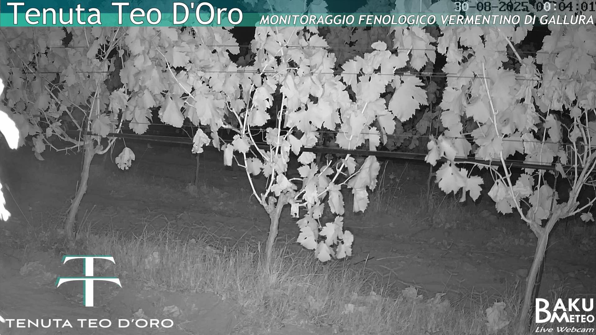 time-lapse frame, Teodoro webcam