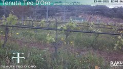 view from Teodoro on 2026-04-13