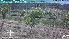 view from Teodoro on 2026-04-30