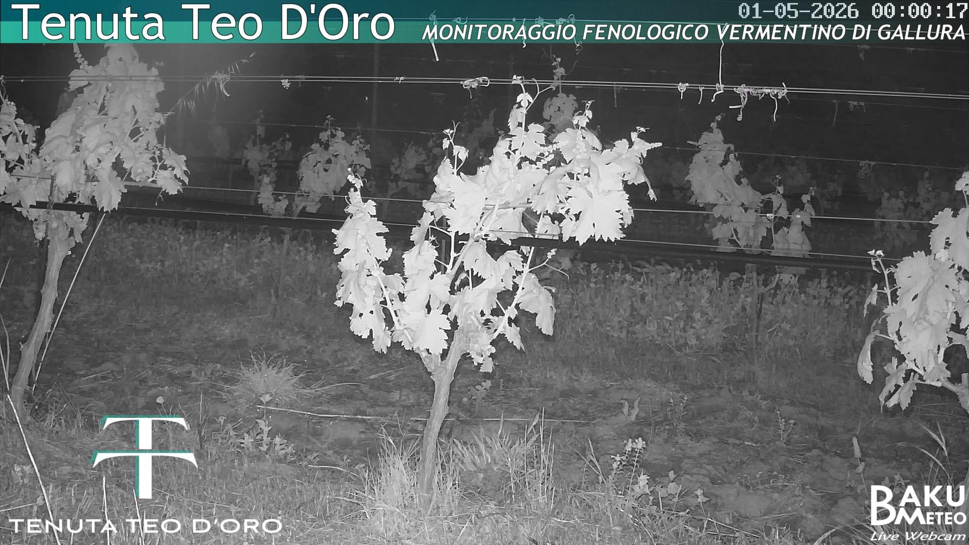 time-lapse frame, Teodoro webcam