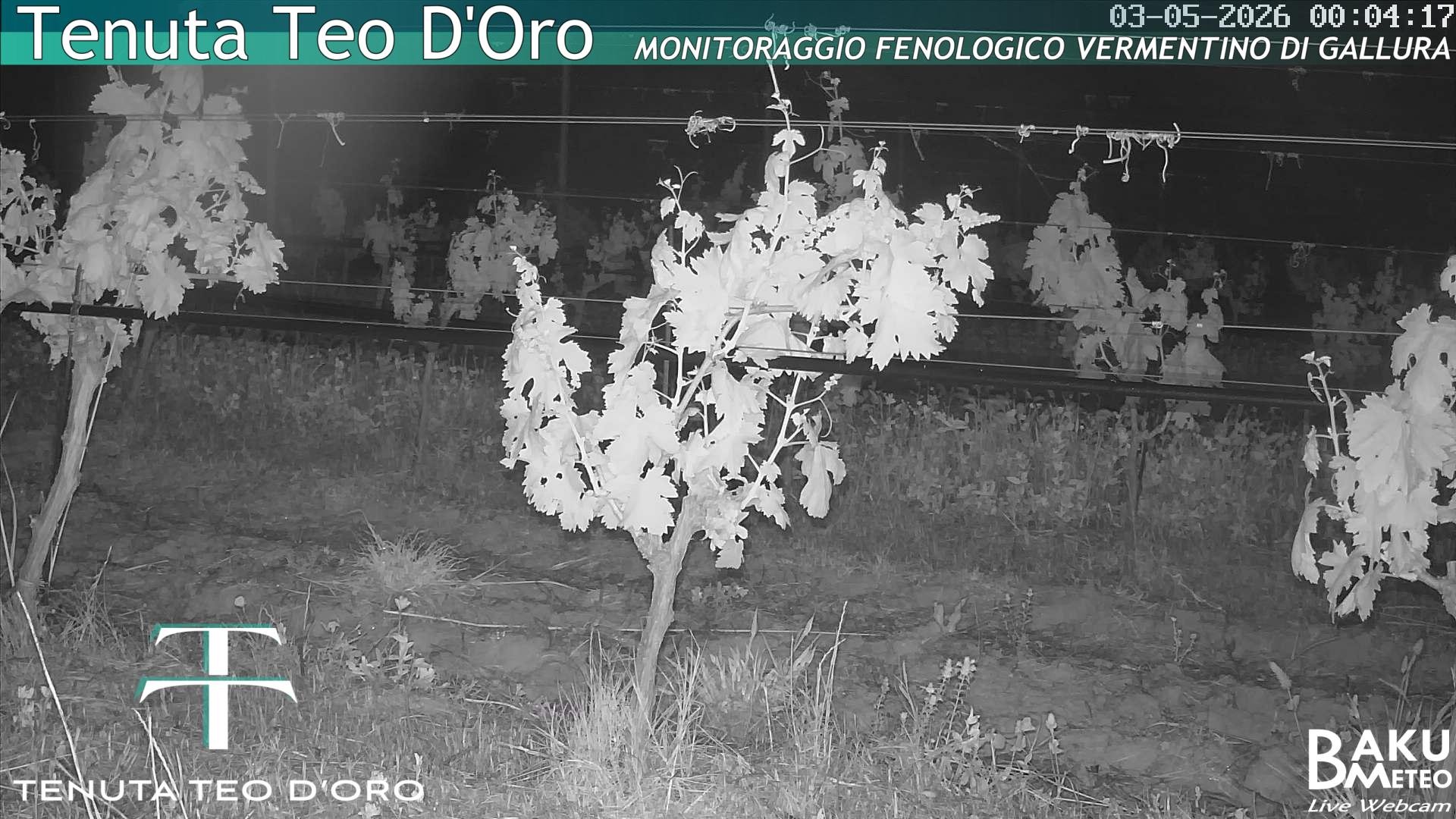 time-lapse frame, Teodoro webcam