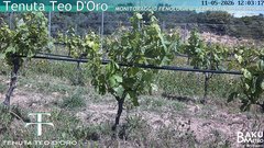 view from Teodoro on 2026-05-11