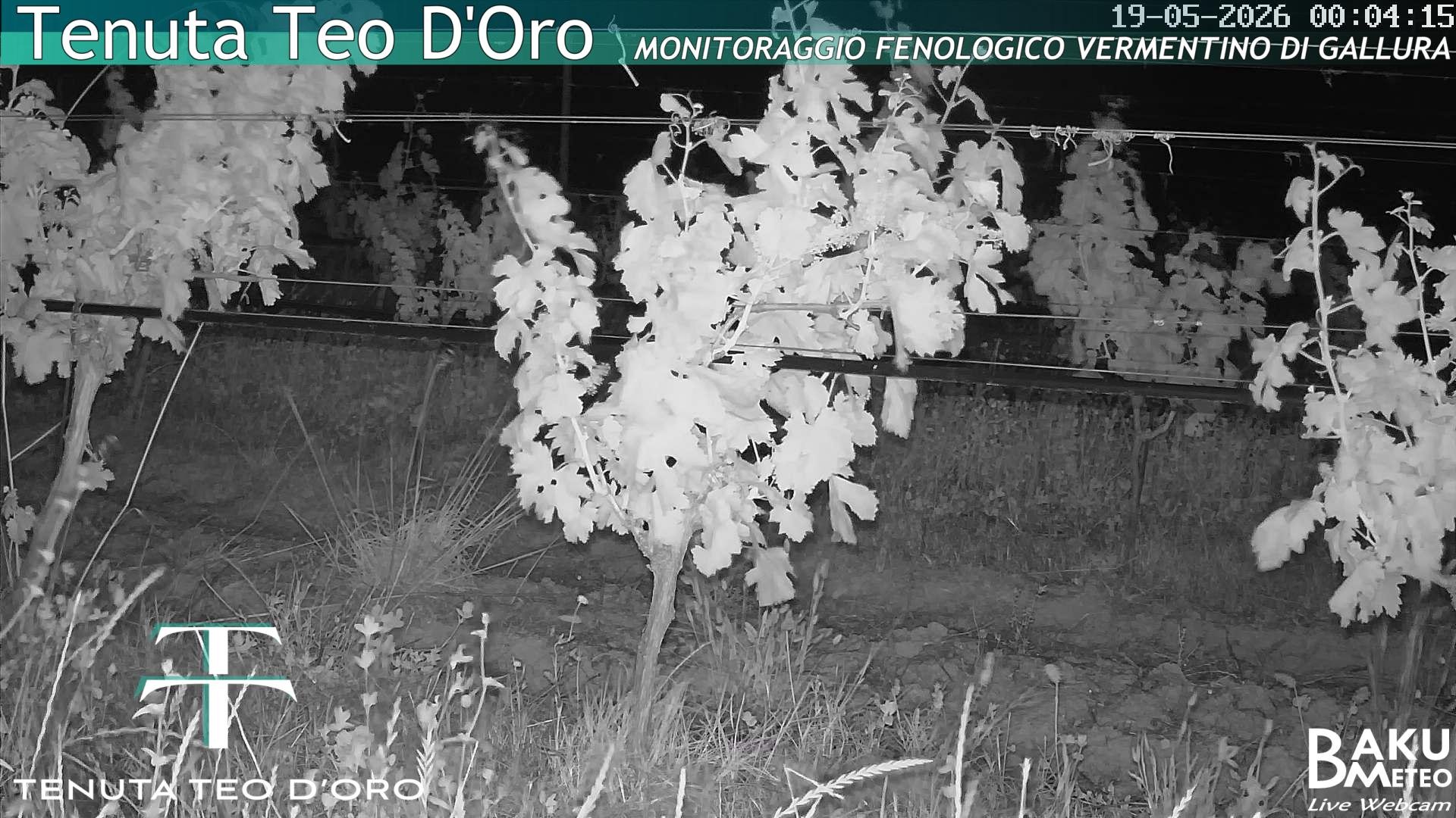 time-lapse frame, Teodoro webcam