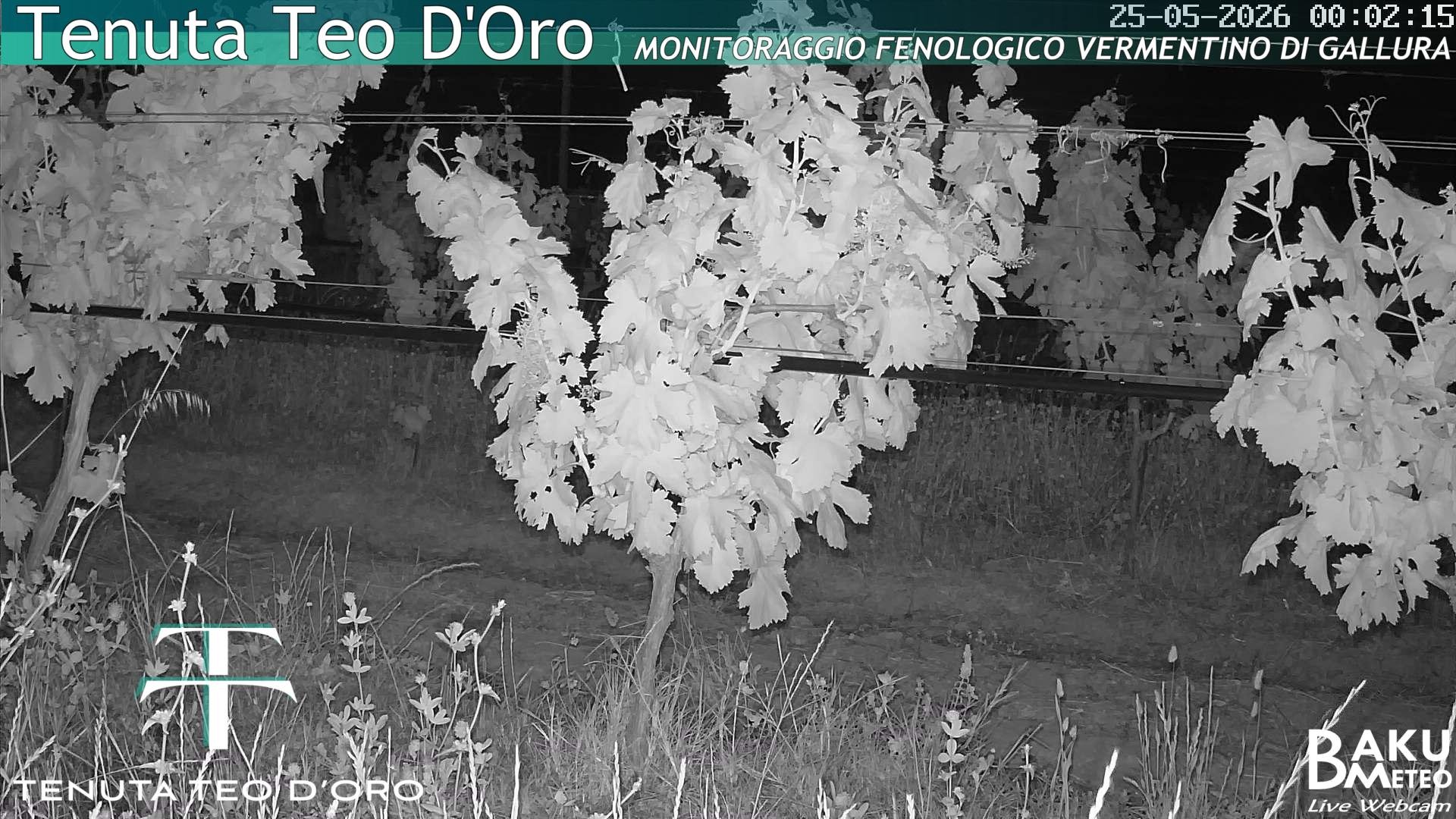 time-lapse frame, Teodoro webcam