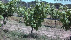 view from Teodoro on 2026-05-27