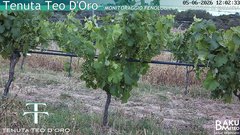 view from Teodoro on 2026-06-05