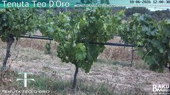 view from Teodoro on 2026-06-10