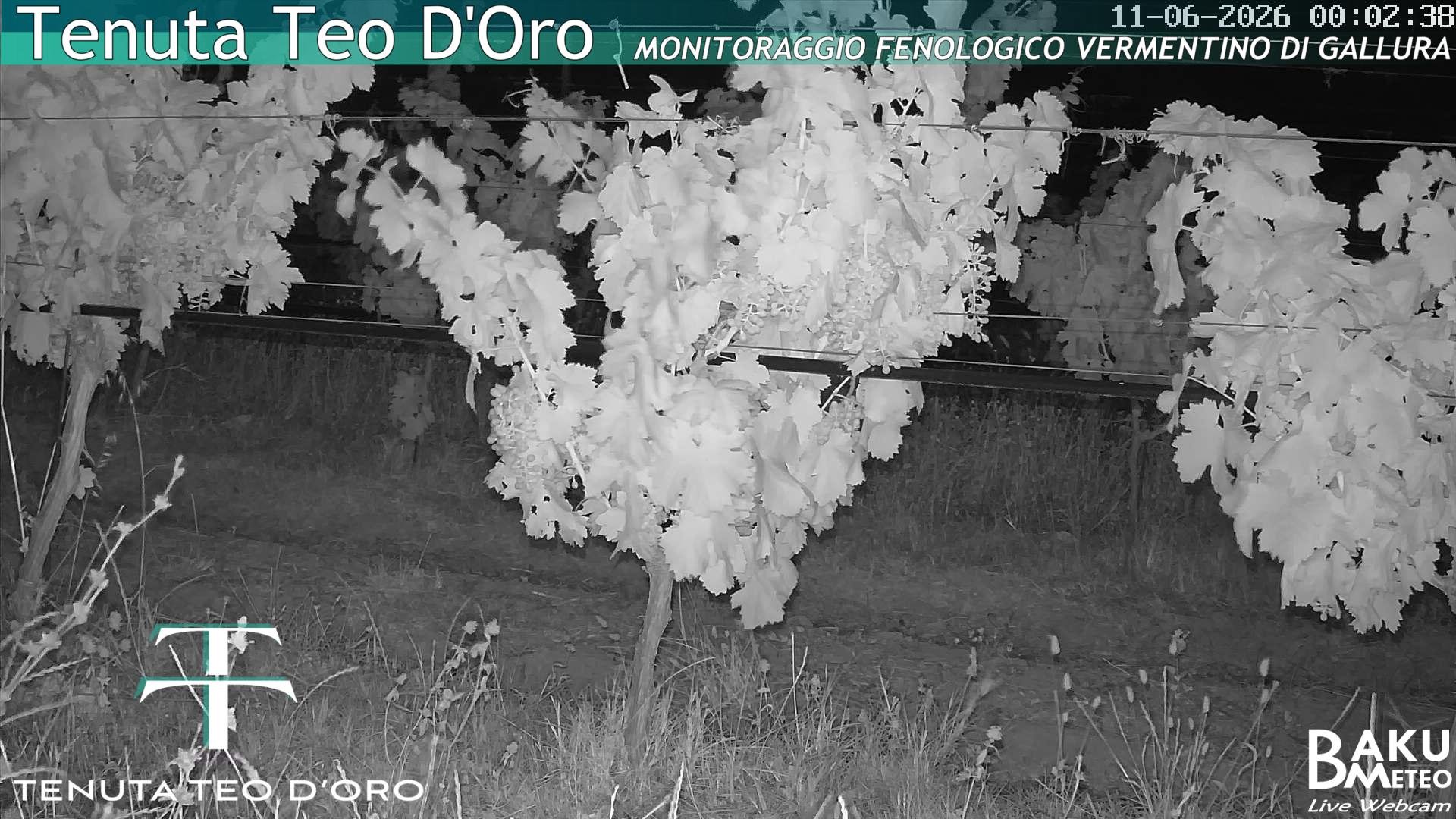 time-lapse frame, Teodoro webcam