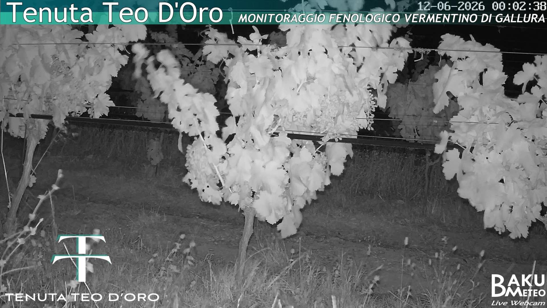 time-lapse frame, Teodoro webcam