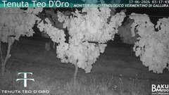 view from Teodoro on 2026-06-17
