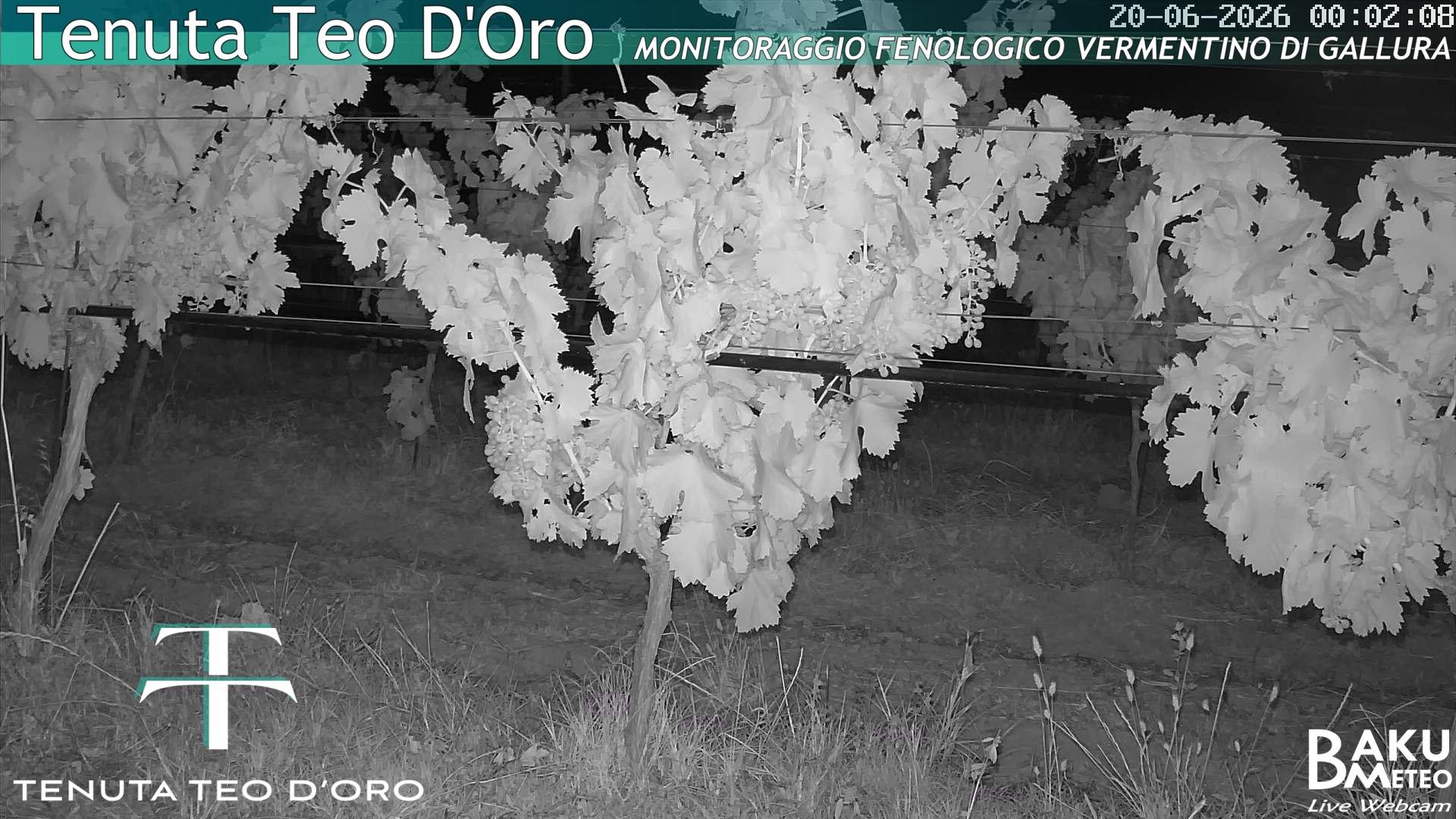 time-lapse frame, Teodoro webcam