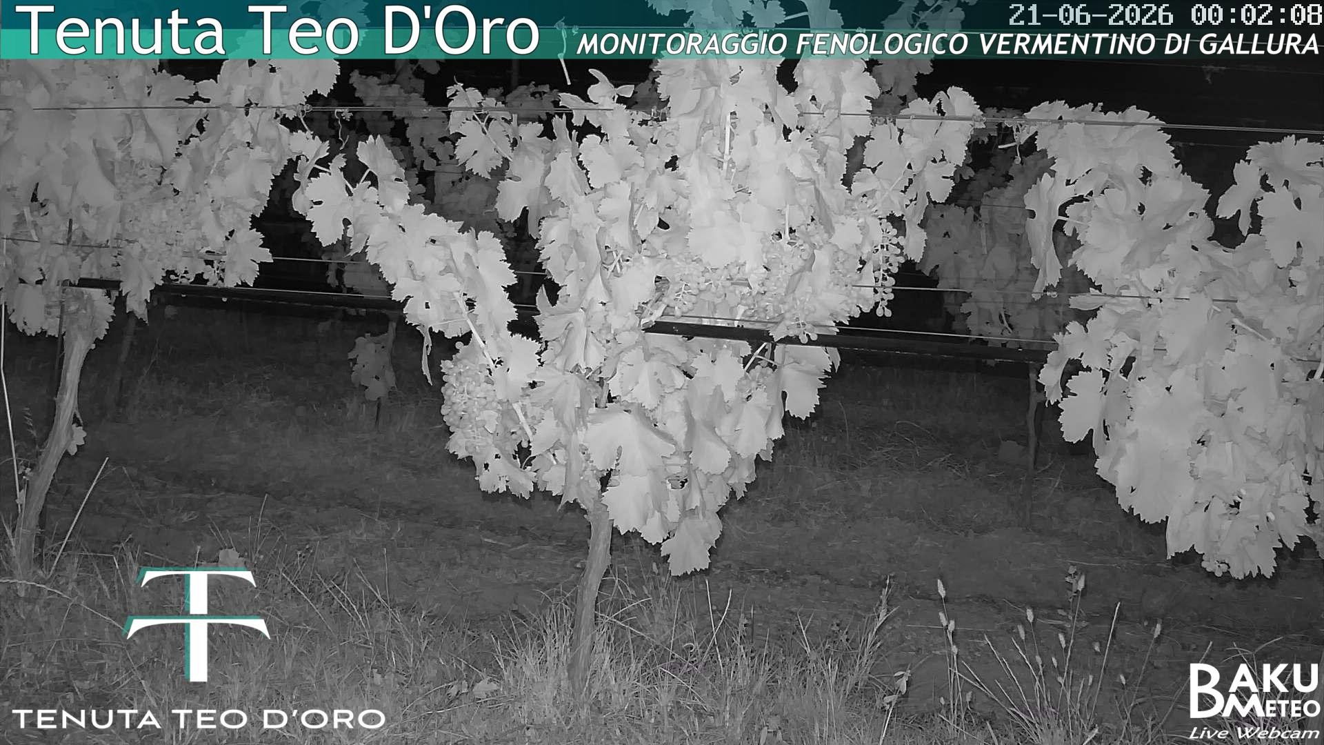 time-lapse frame, Teodoro webcam