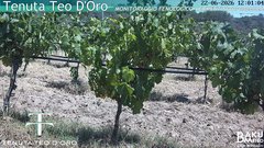 view from Teodoro on 2026-06-22