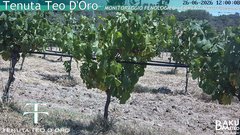 view from Teodoro on 2026-06-26