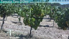 view from Teodoro on 2026-06-27