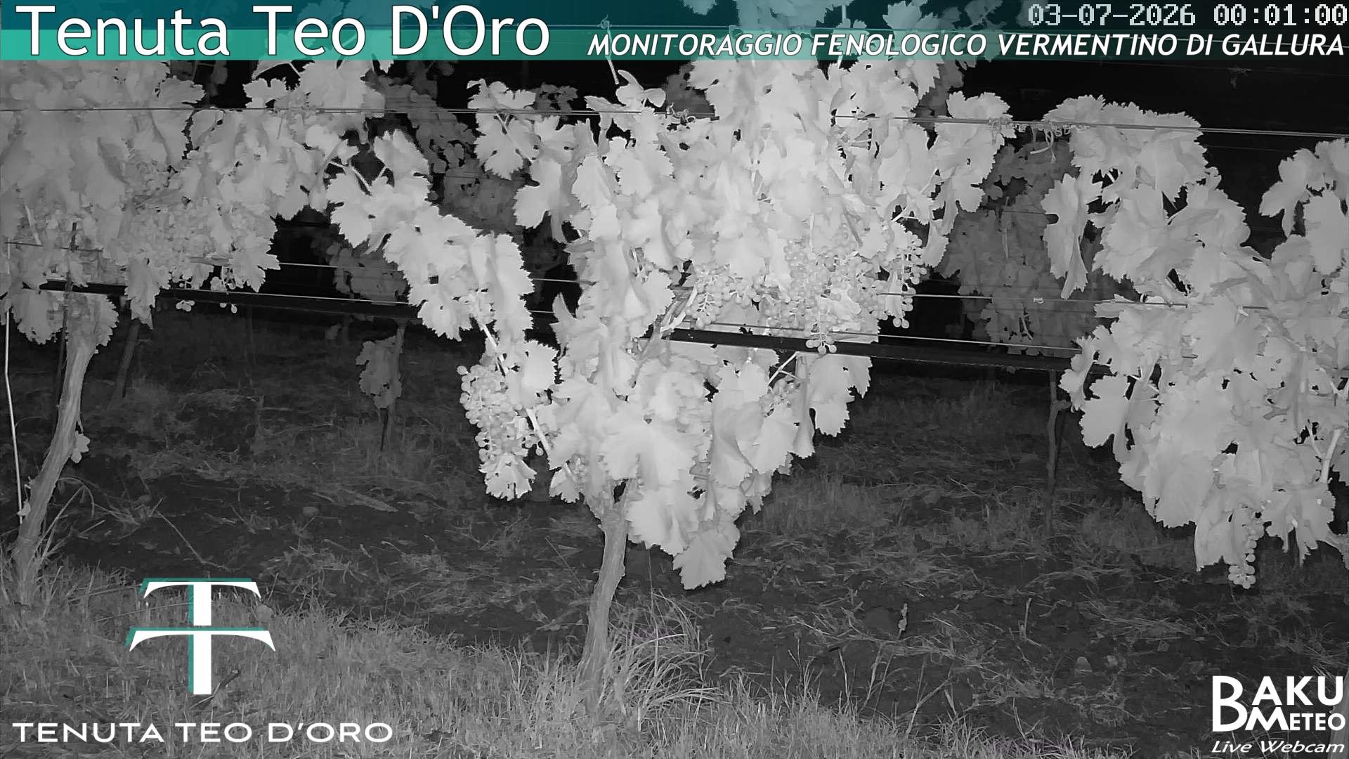 time-lapse frame, Teodoro webcam