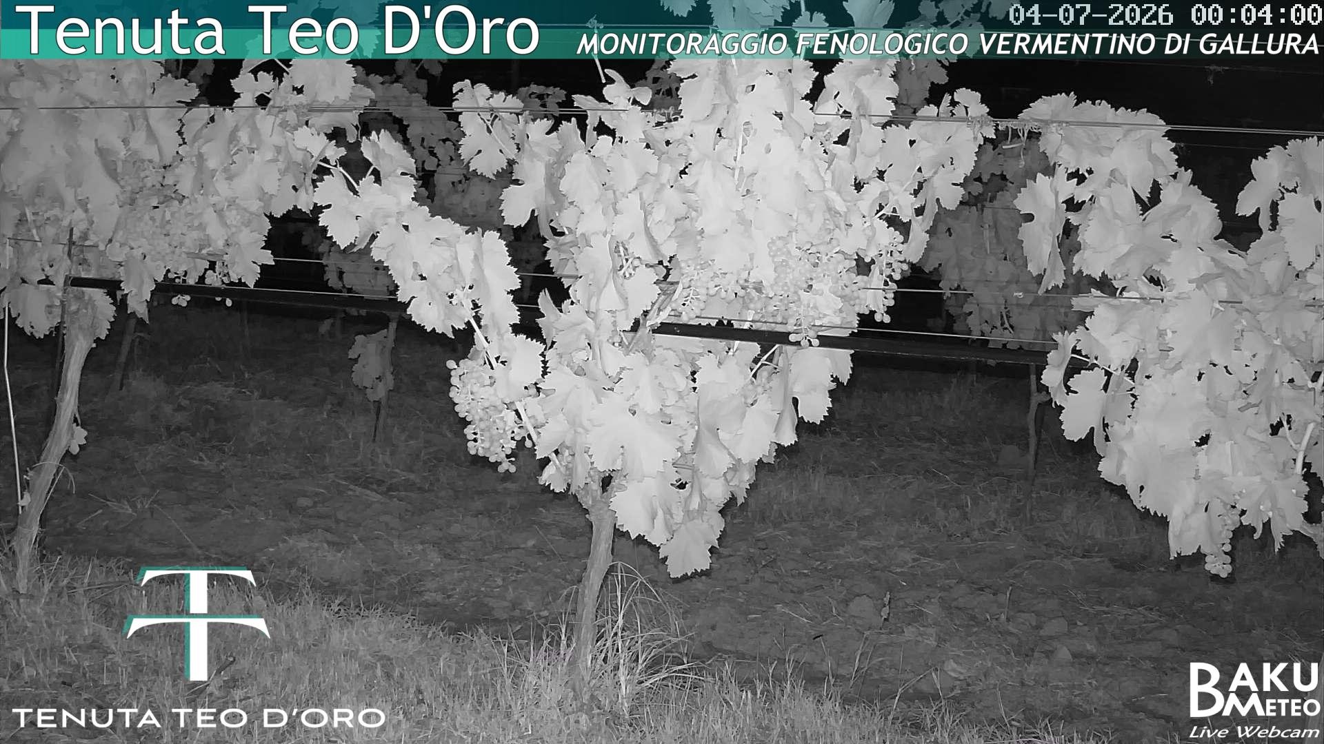 time-lapse frame, Teodoro webcam