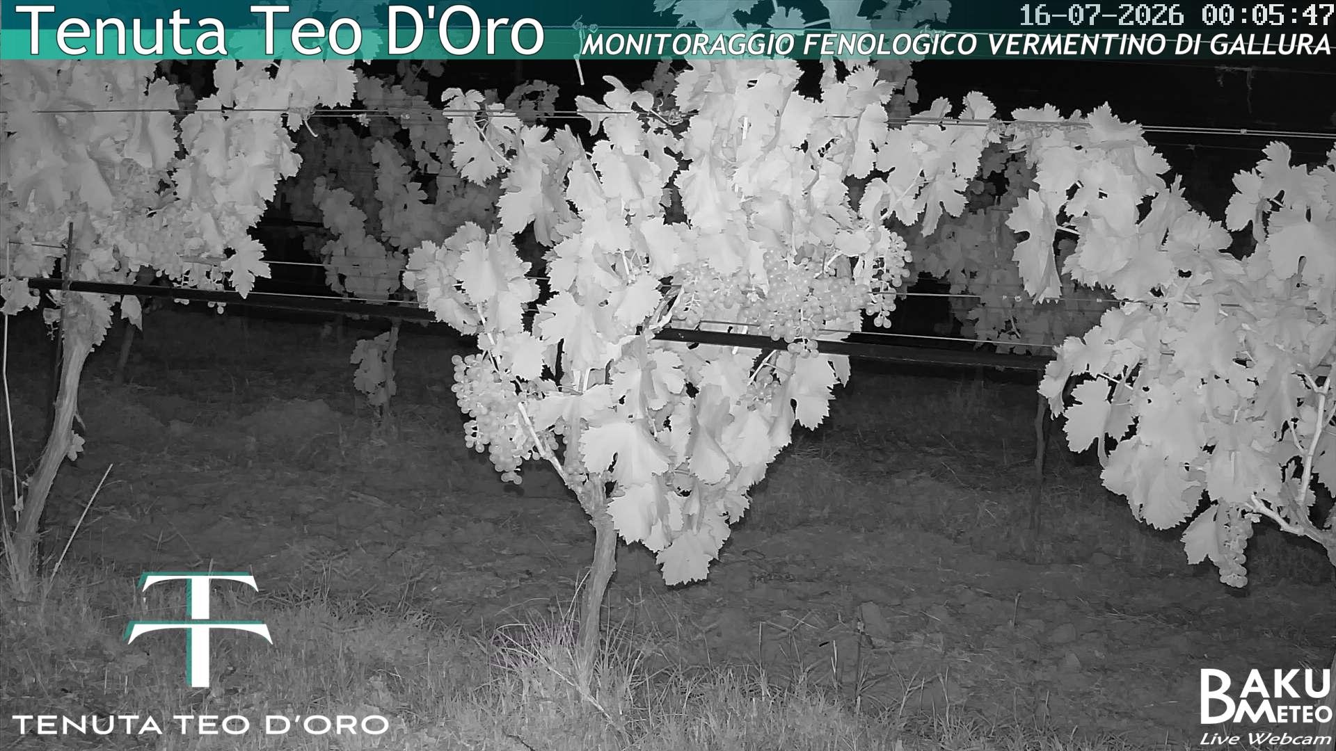 time-lapse frame, Teodoro webcam