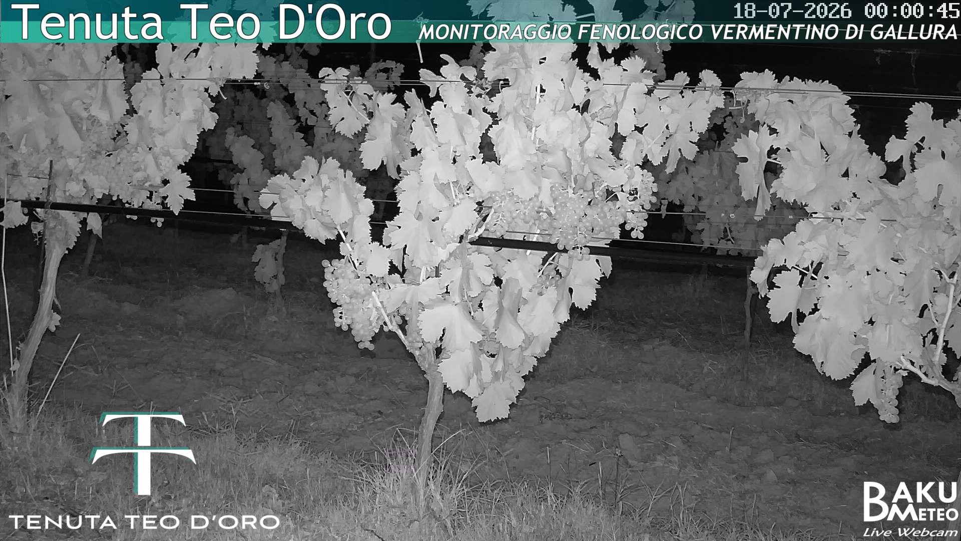 time-lapse frame, Teodoro webcam