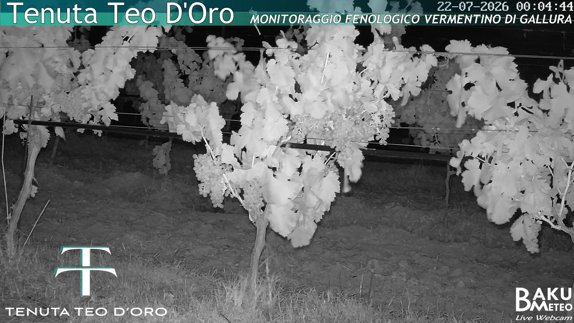 time-lapse frame, Teodoro webcam