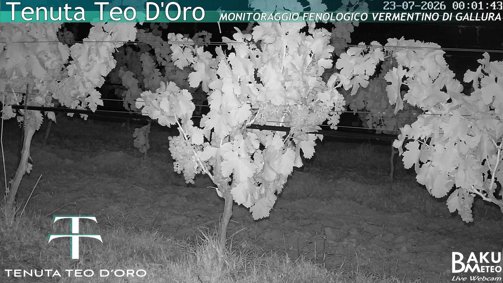 time-lapse frame, Teodoro webcam