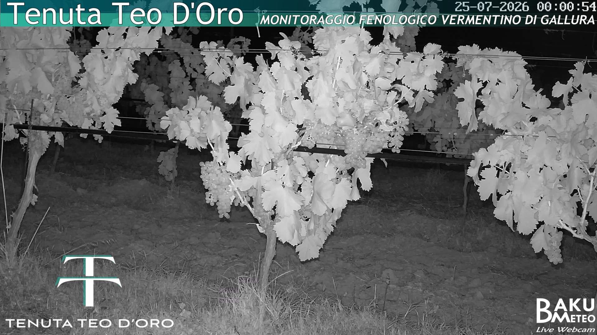 time-lapse frame, Teodoro webcam