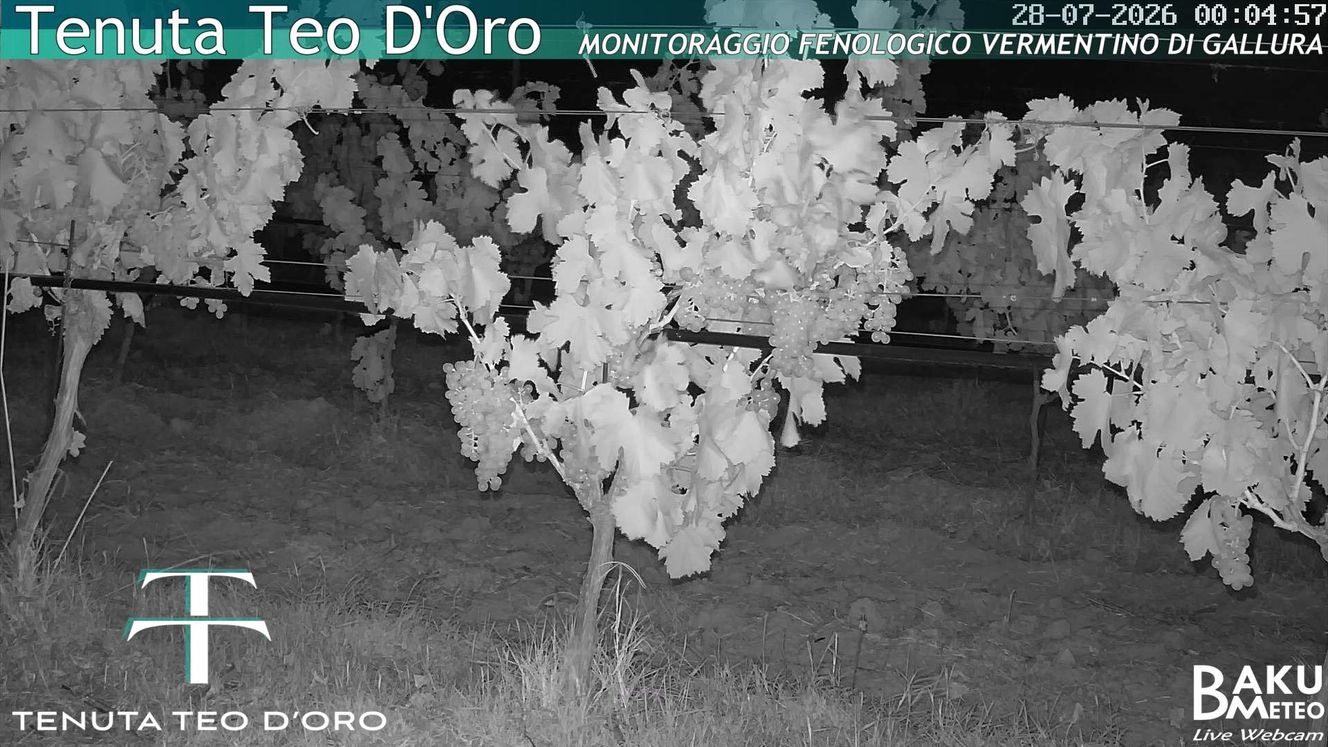 time-lapse frame, Teodoro webcam