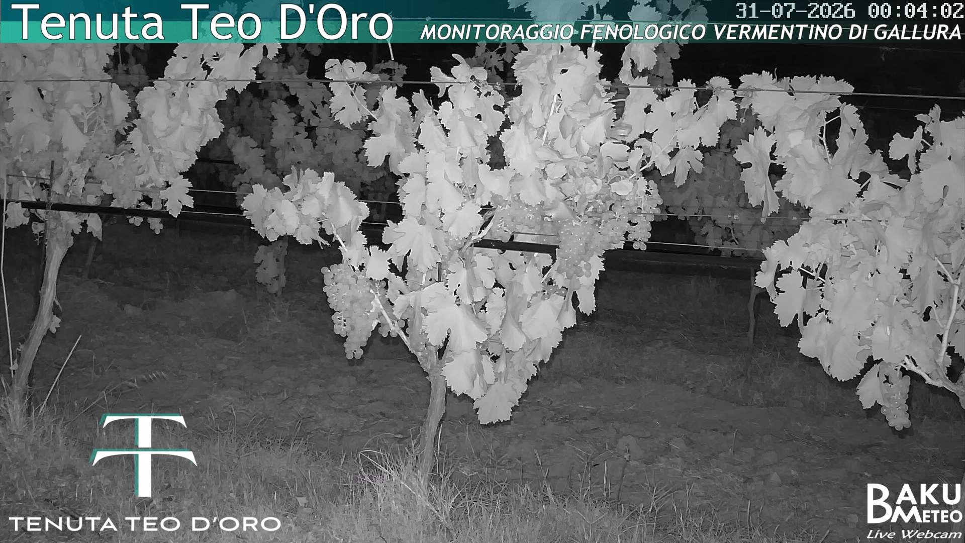 time-lapse frame, Teodoro webcam