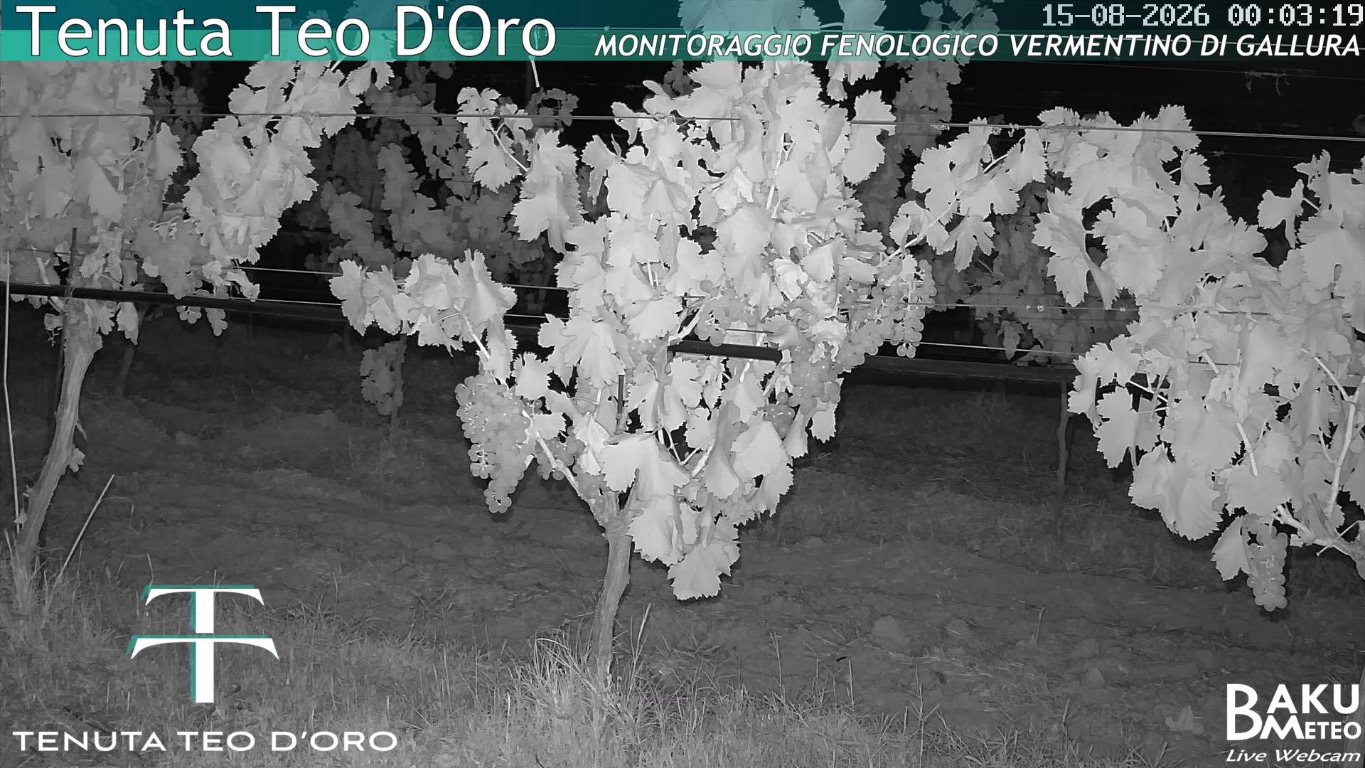 time-lapse frame, Teodoro webcam