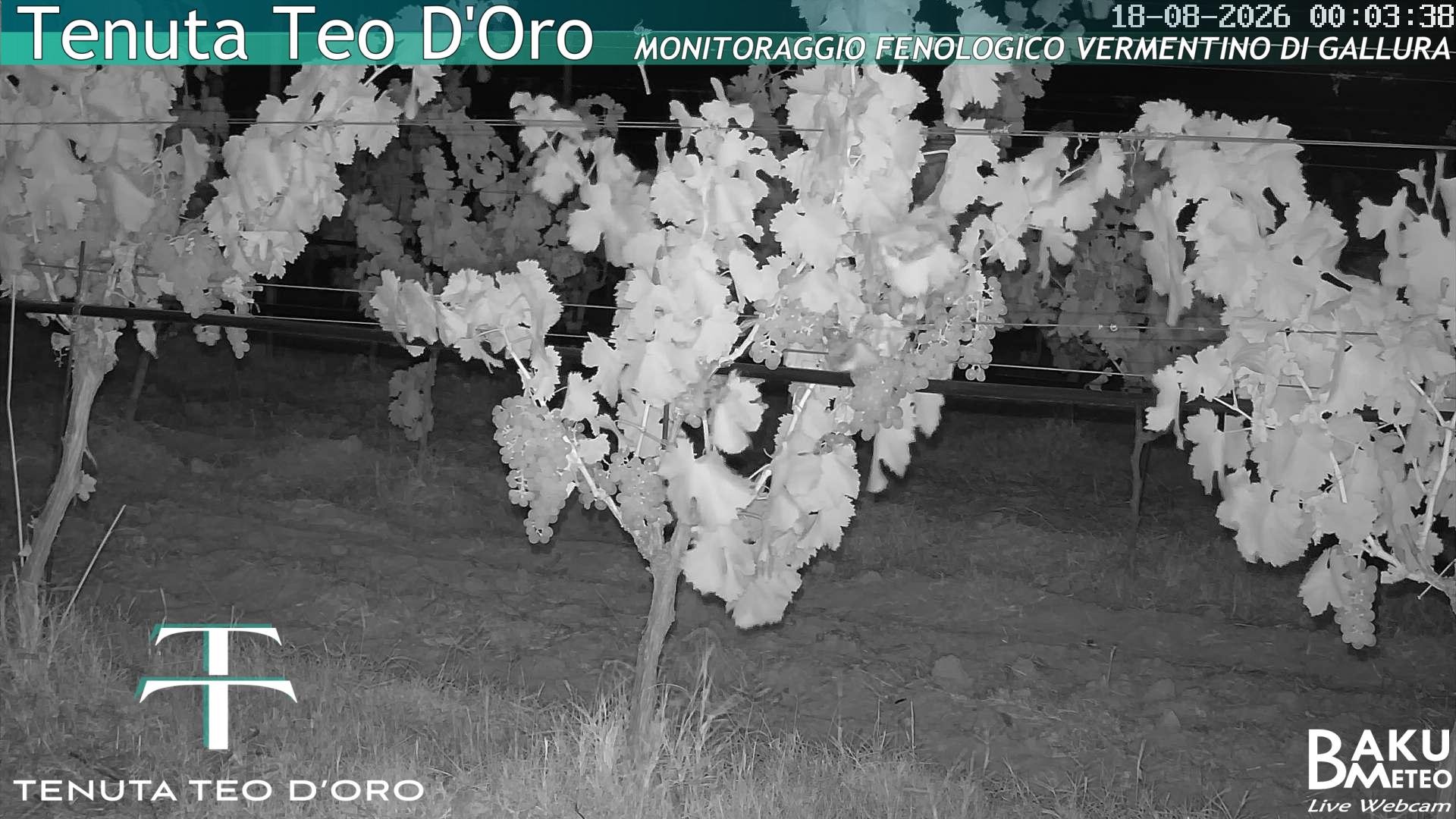 time-lapse frame, Teodoro webcam