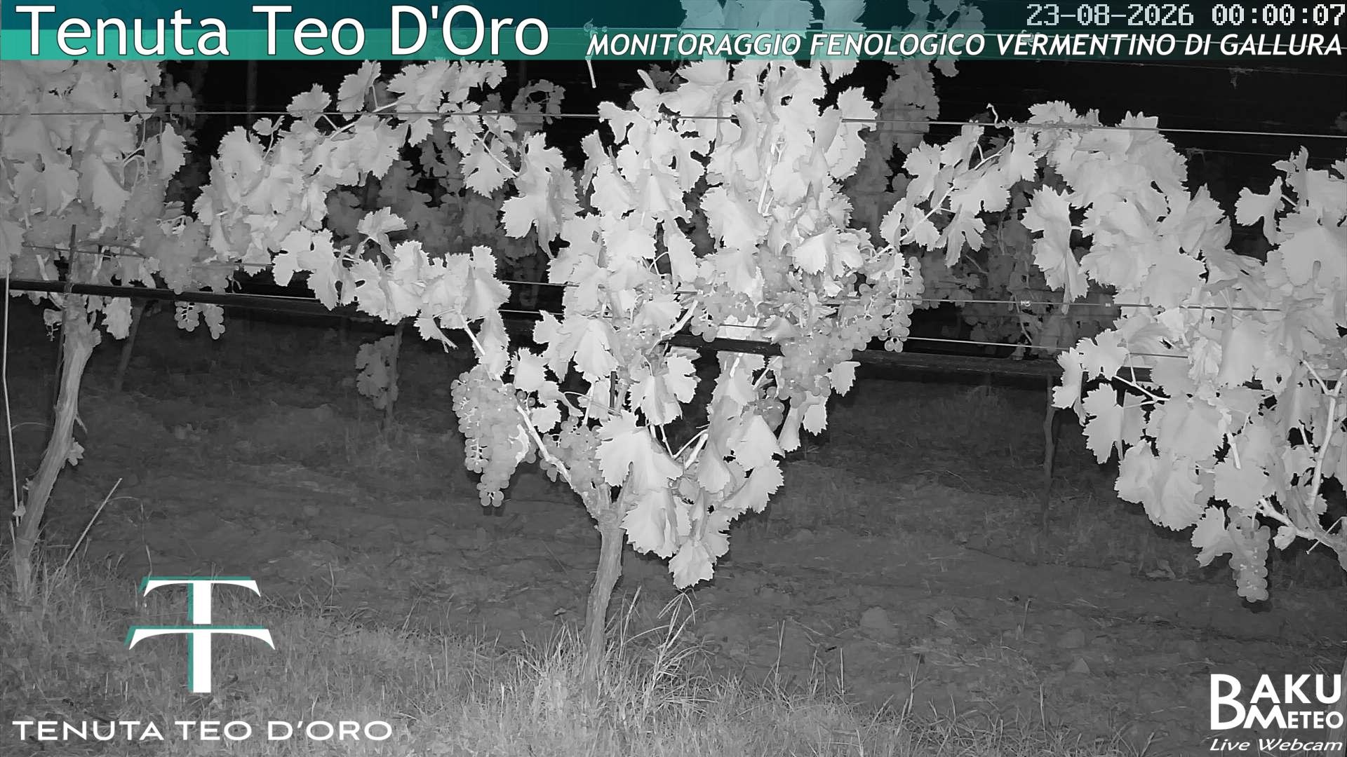 time-lapse frame, Teodoro webcam