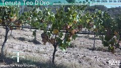 view from Teodoro on 2026-08-25