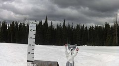 view from snowstump on 2026-04-11