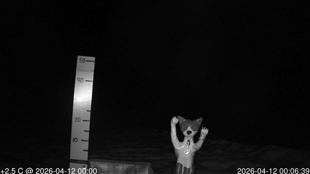 time-lapse frame, snowstump webcam