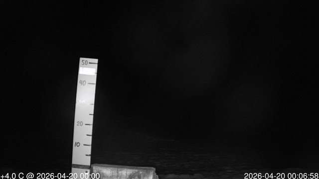 time-lapse frame, snowstump webcam