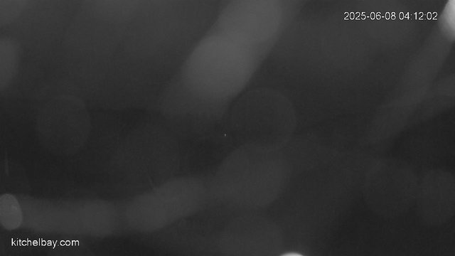 time-lapse frame, kitchelbay.com webcam