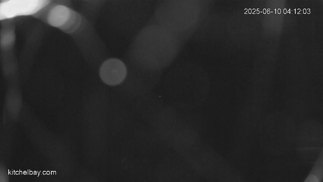 time-lapse frame, kitchelbay.com webcam