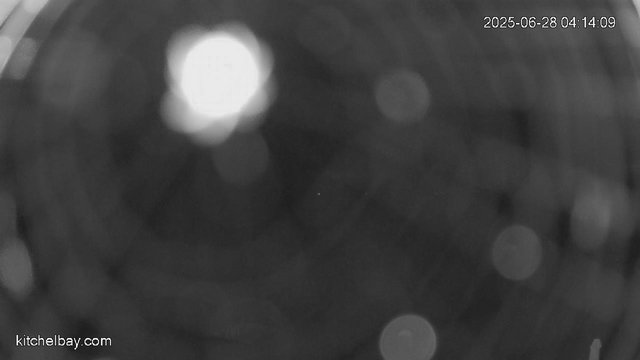time-lapse frame, kitchelbay.com webcam