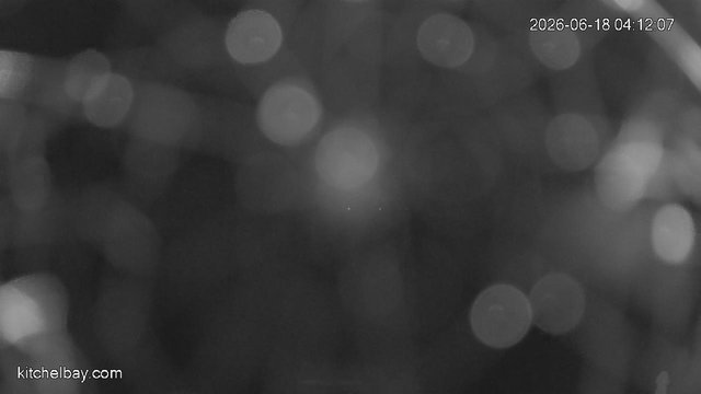 time-lapse frame, kitchelbay.com webcam