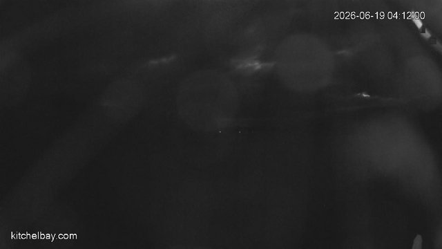 time-lapse frame, kitchelbay.com webcam