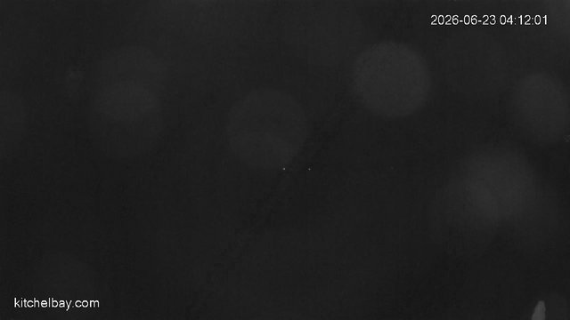 time-lapse frame, kitchelbay.com webcam