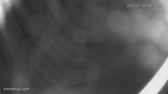 time-lapse frame, kitchelbay.com webcam