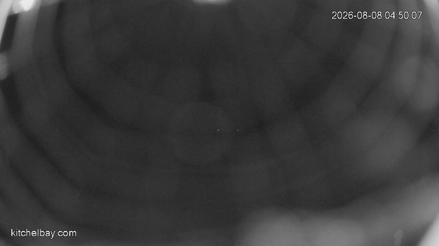 time-lapse frame, kitchelbay.com webcam