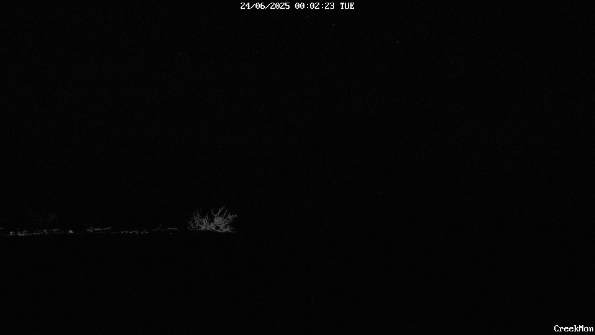 time-lapse frame, CreekCam West webcam