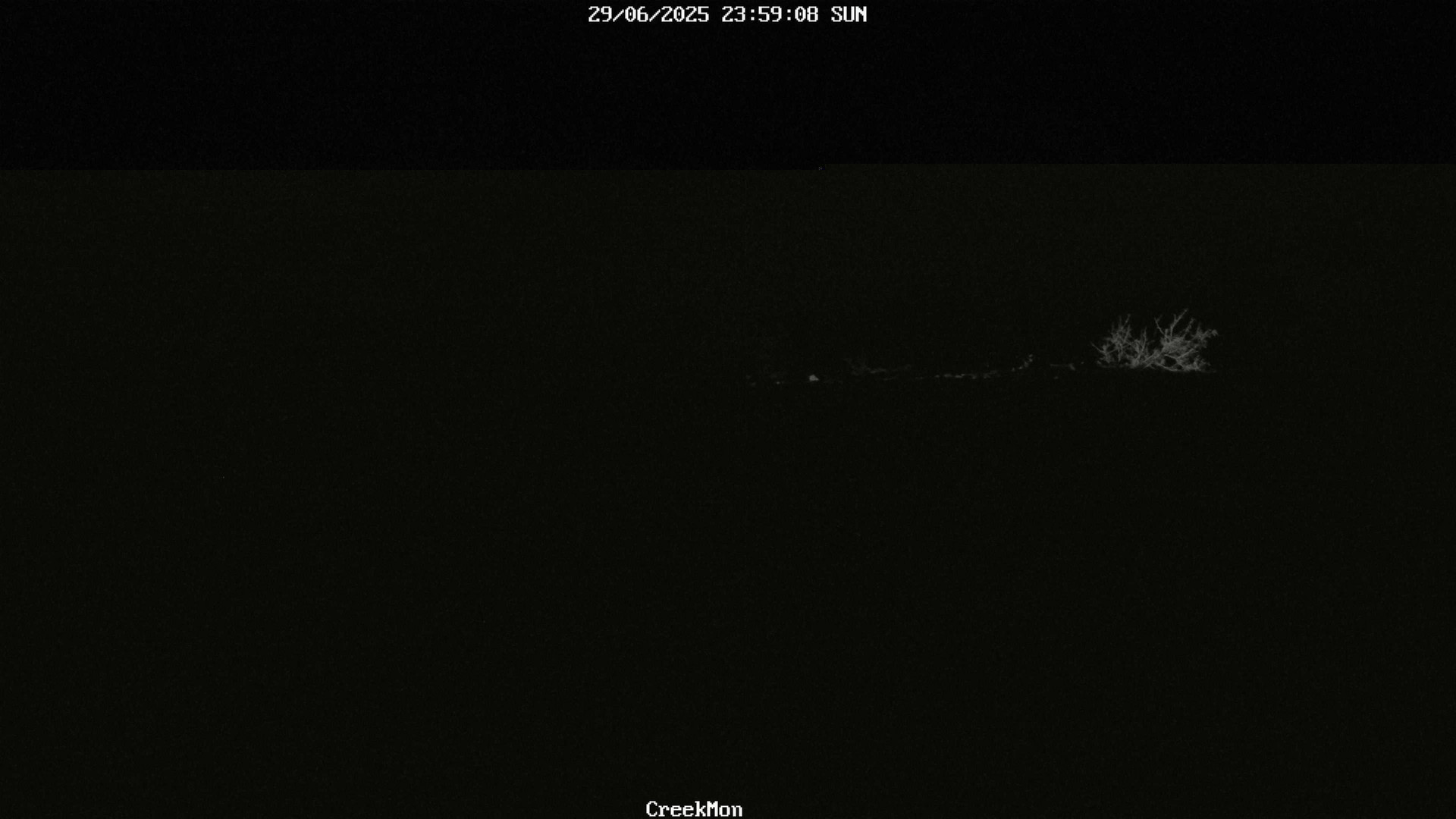 time-lapse frame, CreekCam West webcam