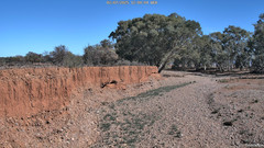 view from CreekCam West on 2025-07-02