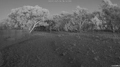 view from CreekCam West on 2025-07-04
