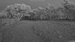 view from CreekCam West on 2025-07-04