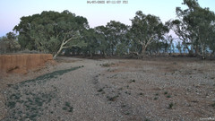 view from CreekCam West on 2025-07-04