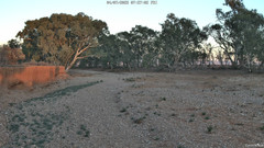 view from CreekCam West on 2025-07-04